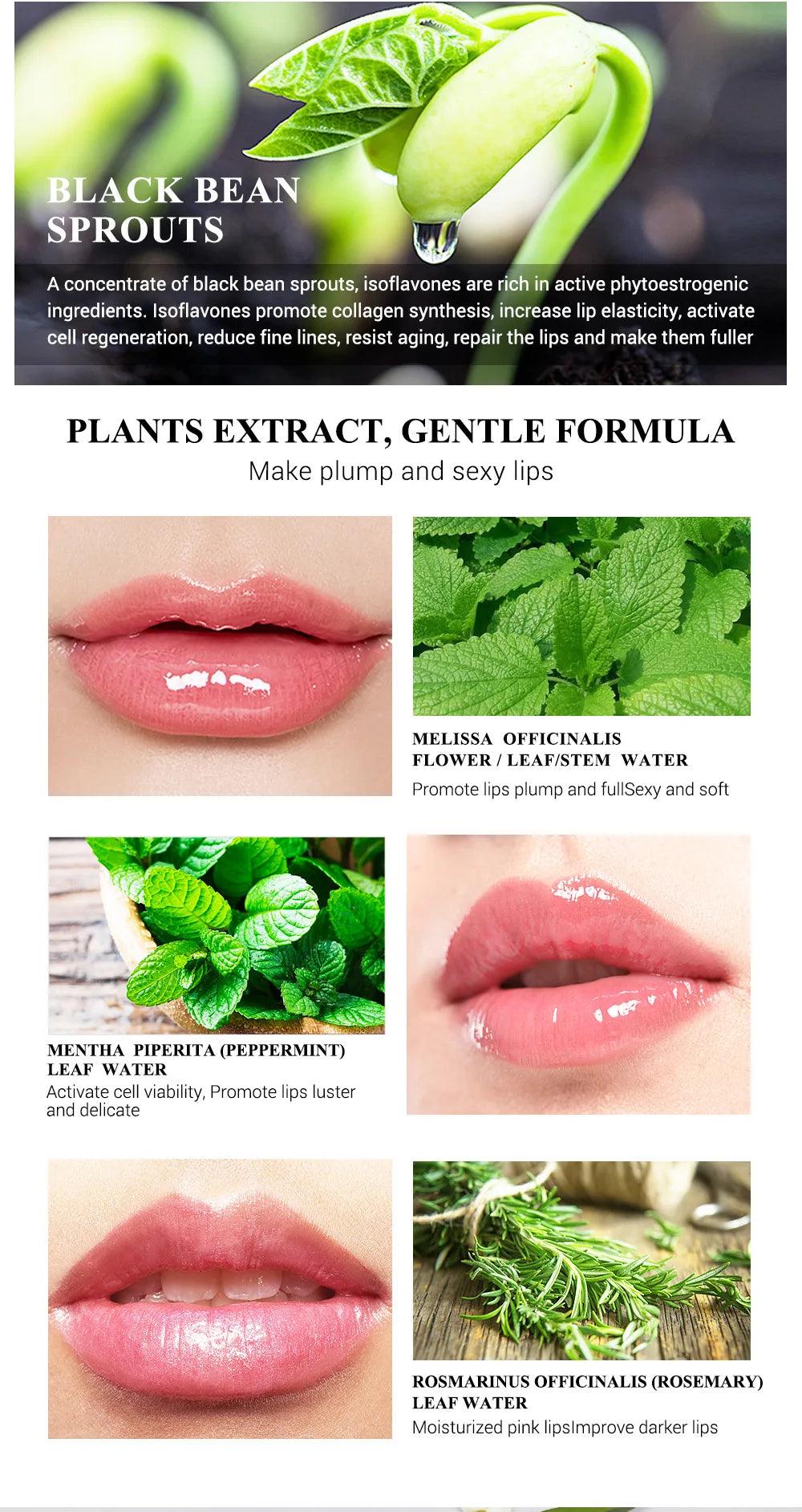Instant Volumising Lips Serum Plumper Increase Gloss Elasticity Reduce Lip Fine Lines Moisturizing Nourish Repair Sexy Lip Care