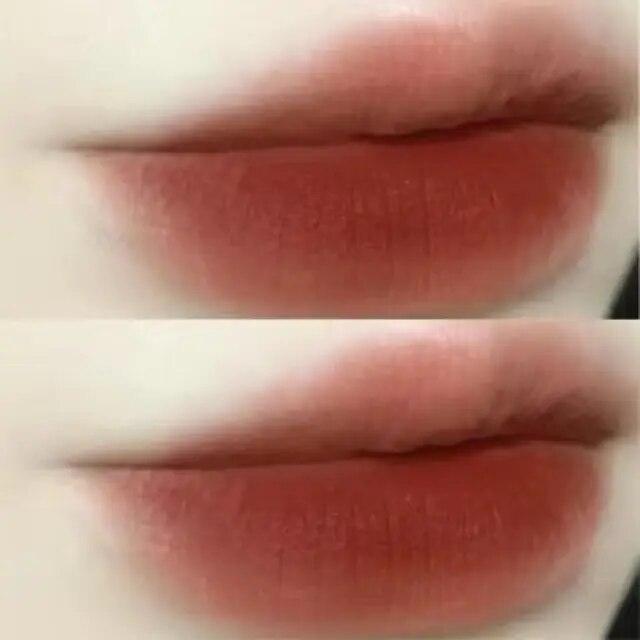 Waterproof matte chestnut lipstick.